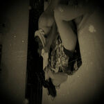 /photo/900471/老婆被单男干 这回爽死了/img_20220505_194013_1_5_small.jpg